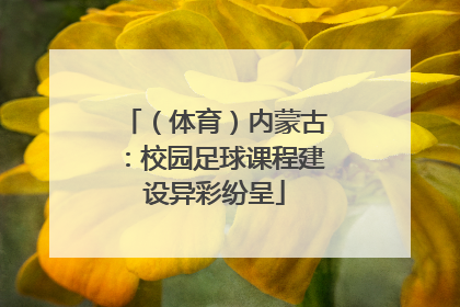 （体育）内蒙古：校园足球课程建设异彩纷呈